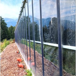 Mountain berry: Fiori di canapa coltivati in greenhouse con metodo acquaponico